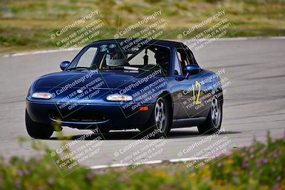 media/Mar-16-2024-Speed Ventures (Sat) [[b18ee68d62]]/Purple Group/Session 2 (The Bowl)/